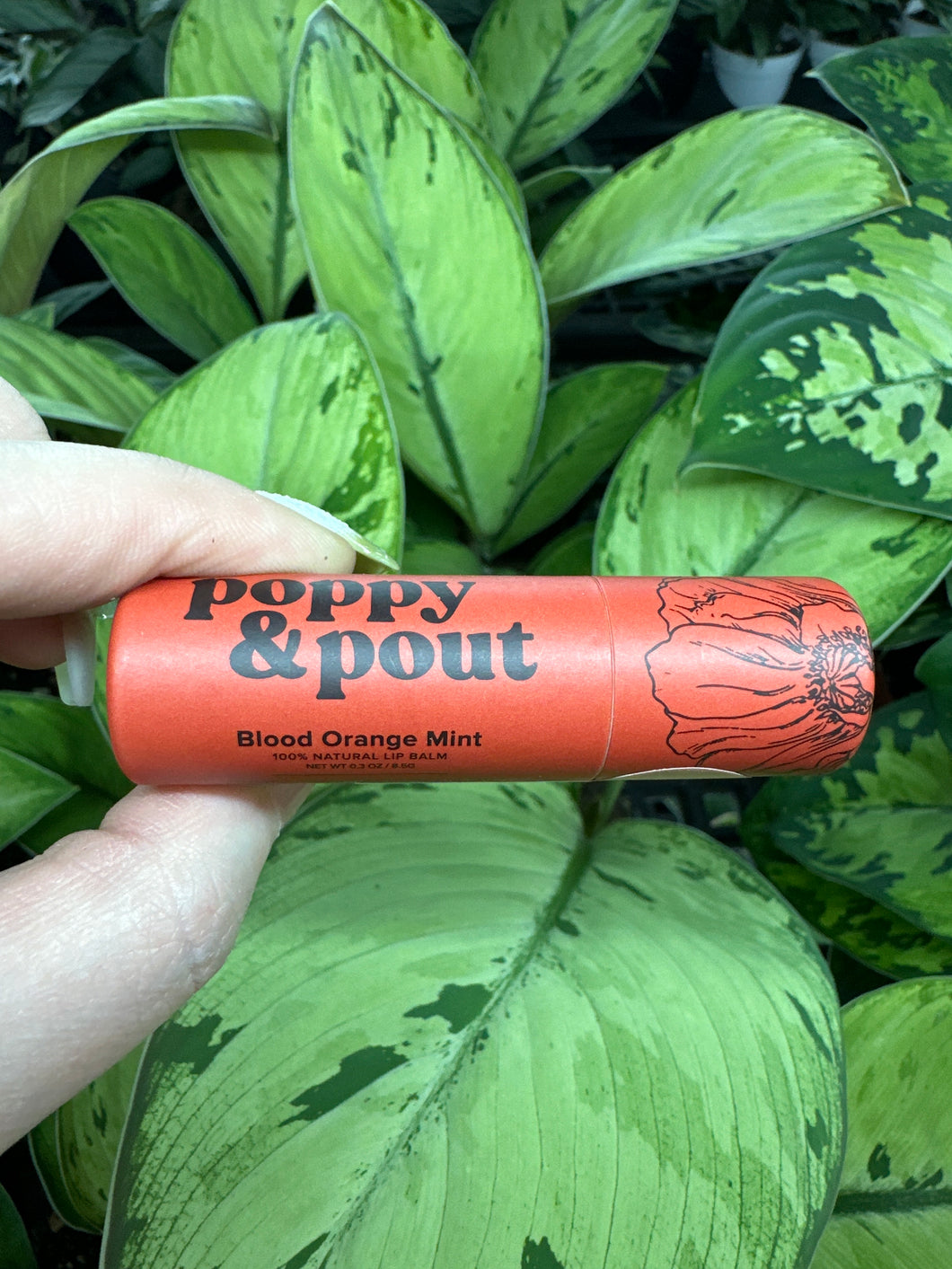 Lip Balm- Blood Orange Mint