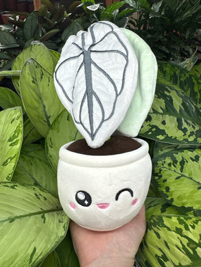 Alocasia Silver Dragon Plushie