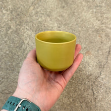 Load image into Gallery viewer, Kendall Pot 2.5&quot; - Mustard Yellow